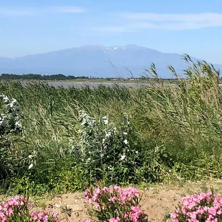 منتزه العطل Mobilhome Plage Perpignan كانيه